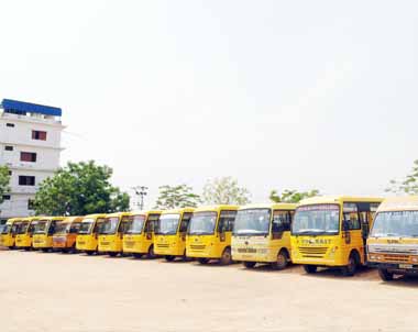 BUSES pic